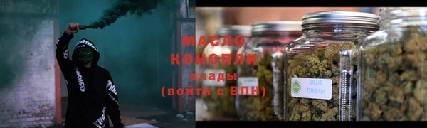 гидропоника Алзамай