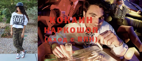 гидропоника Алзамай
