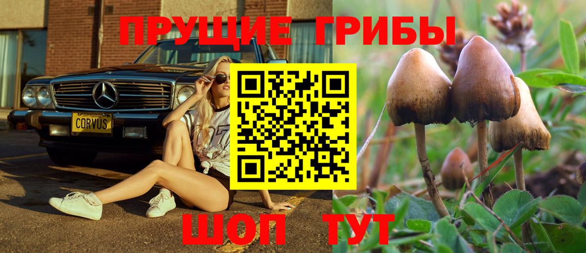 Галлюциногенные грибы Psilocybine cubensis  Вход с VPN  Дюртюли  Галлюциногенные грибы мухоморы 